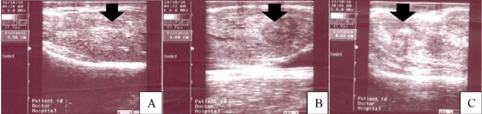 Fig. 7.