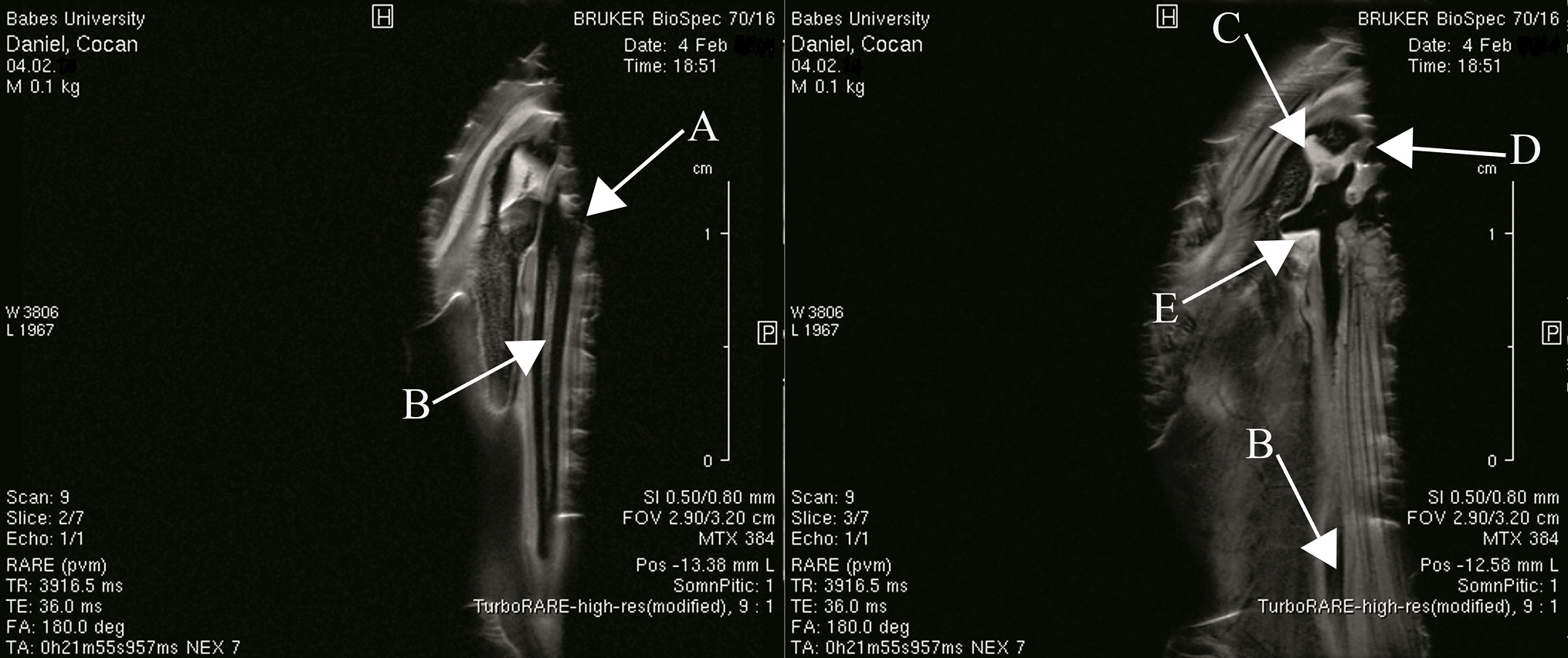 Fig. 3.