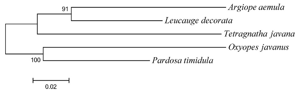 Fig. 4.