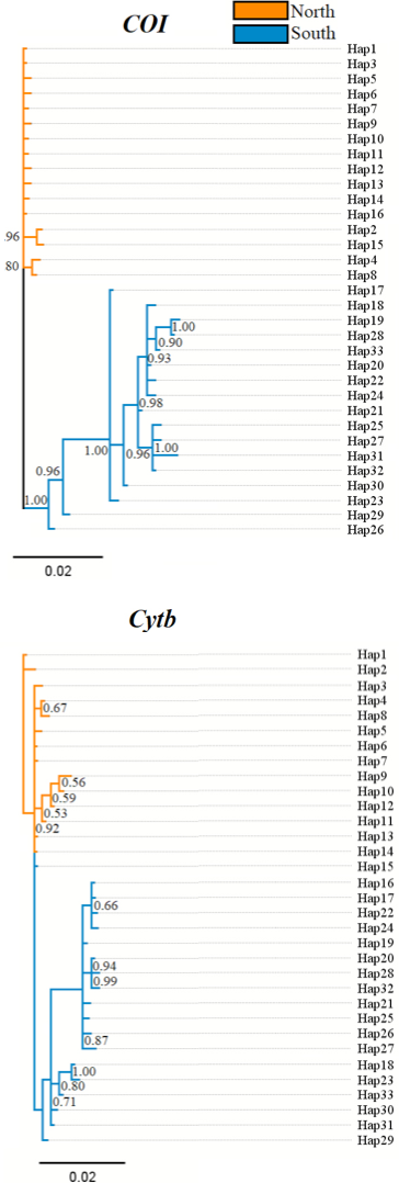 Fig. 5.