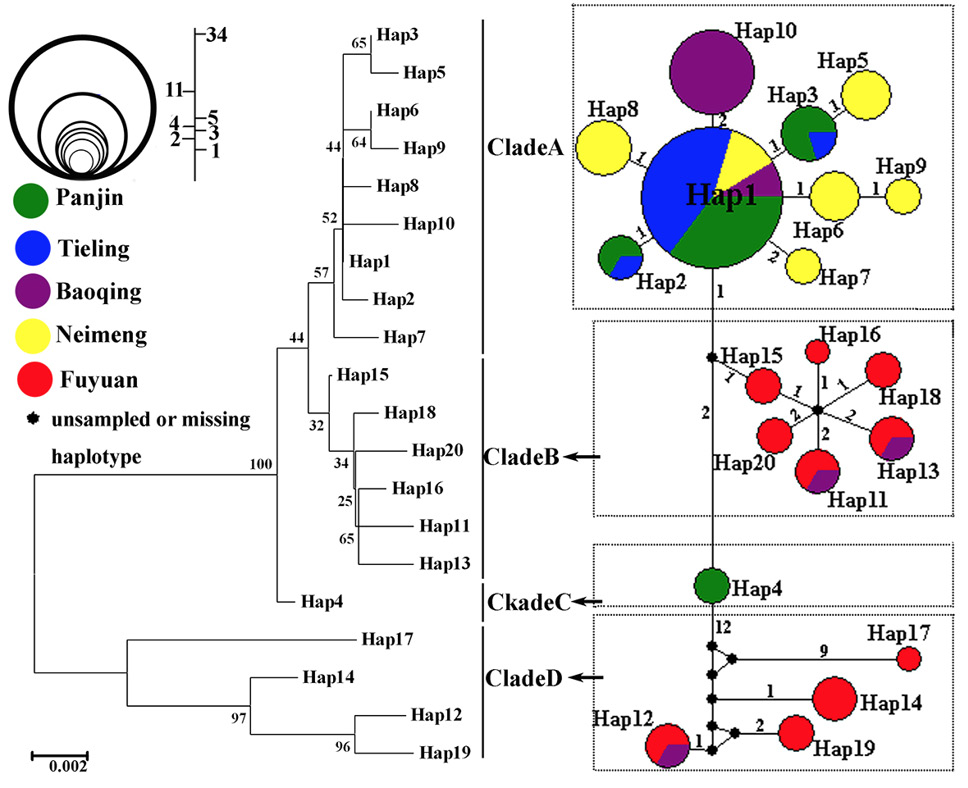 Fig. 2.