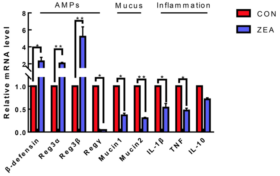 Fig. 3.