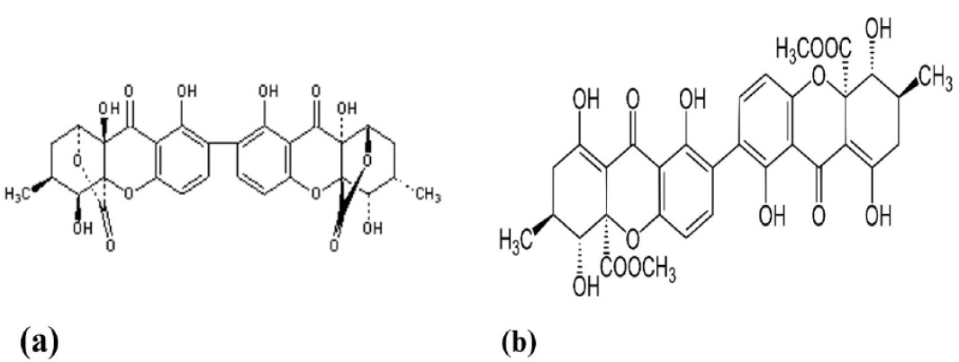 Figure 7: