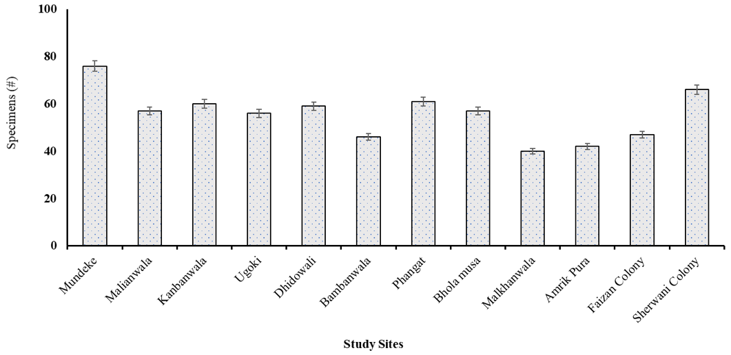 Figure 2:
