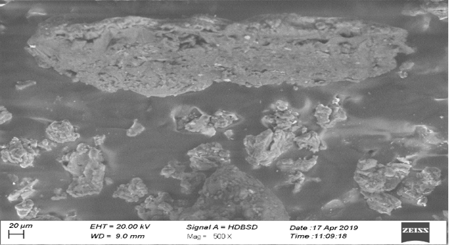 Figure 2a