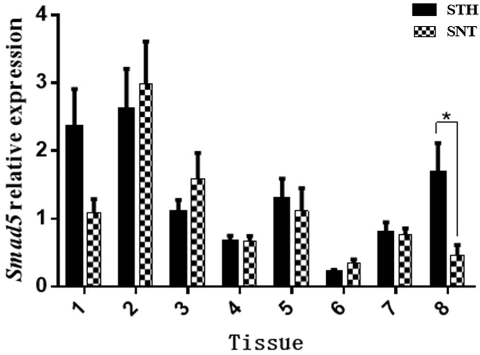 Fig. 5.