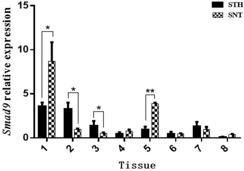 Fig. 6.