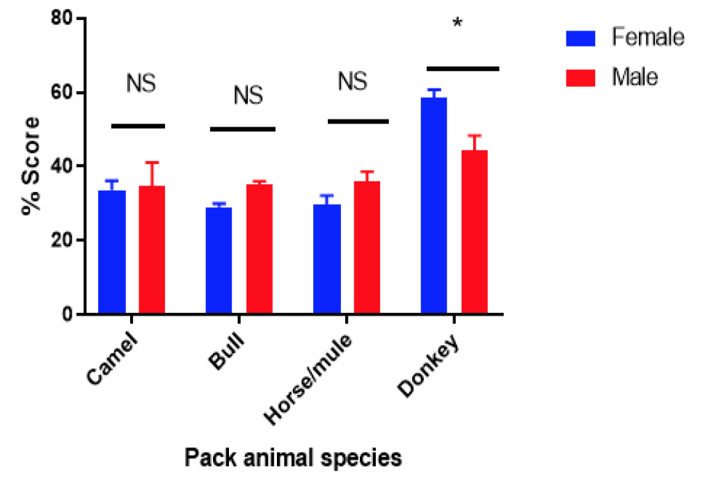 Figure 3: