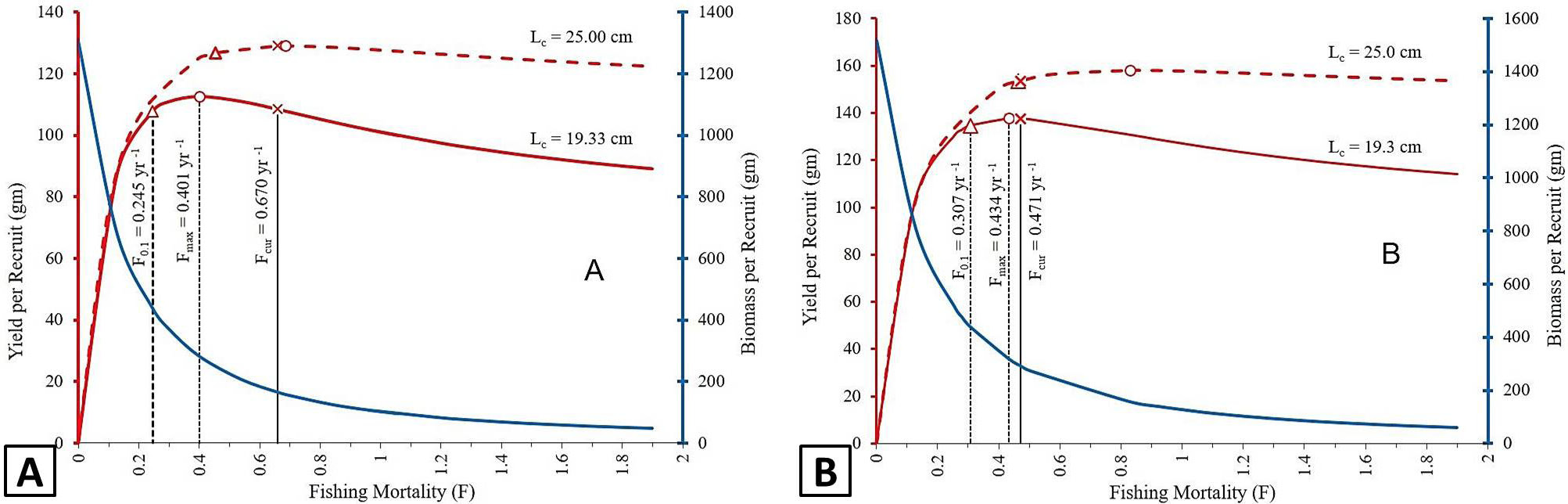 Fig. 10.