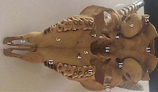 Fig. 7.