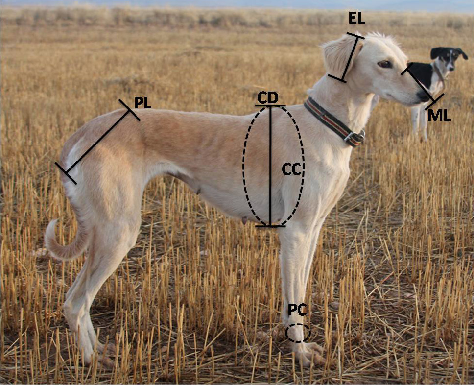 Fig. 2.