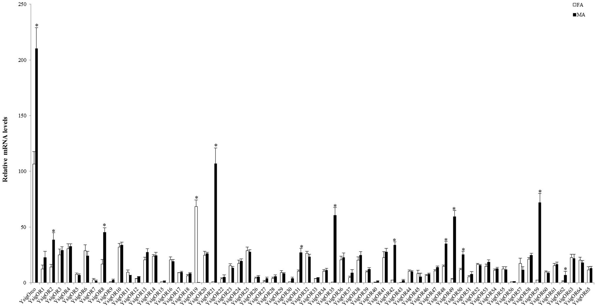 Fig. 3.