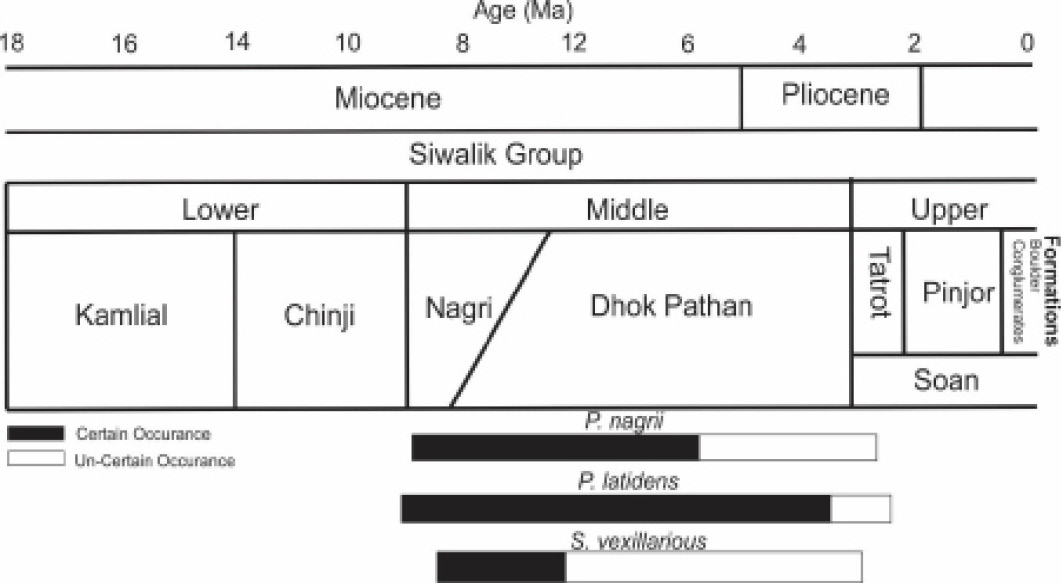 Figure 2: