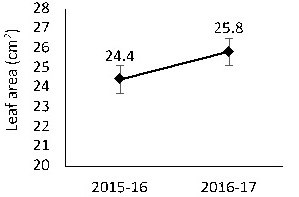 Figure 11