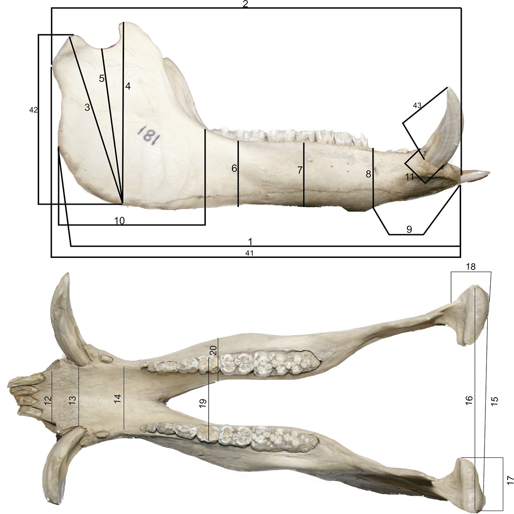 Figure 5: