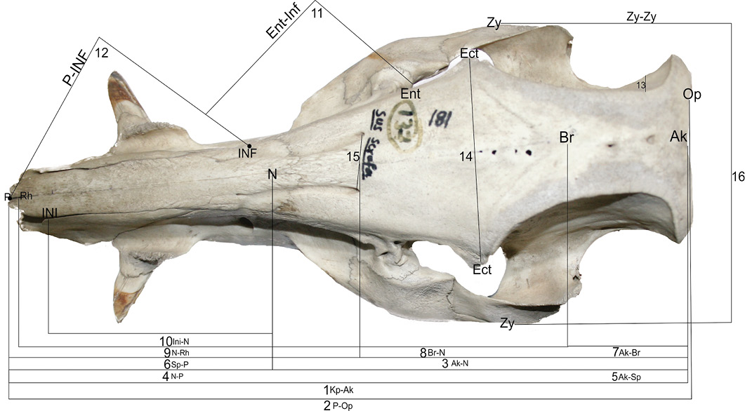 Figure 1: