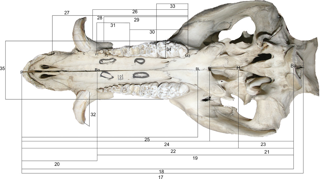 Figure 2: