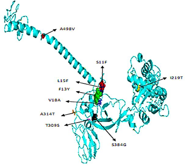 Figure 5