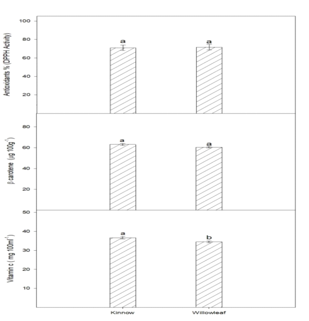 Graph 2