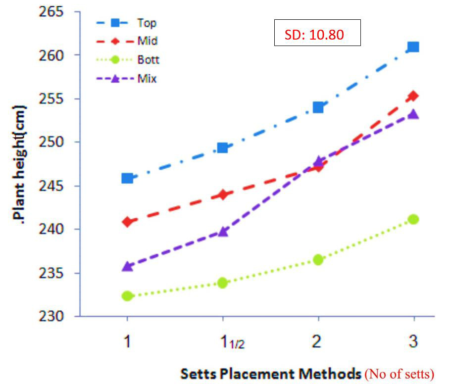 Figure 3: