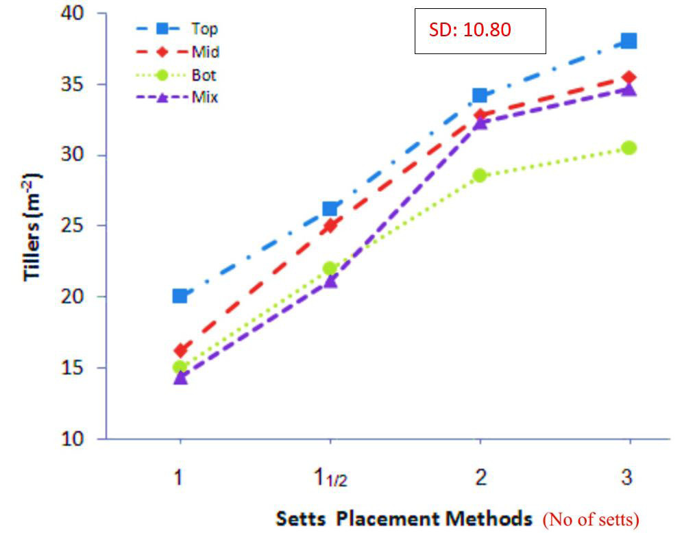 Figure 2:
