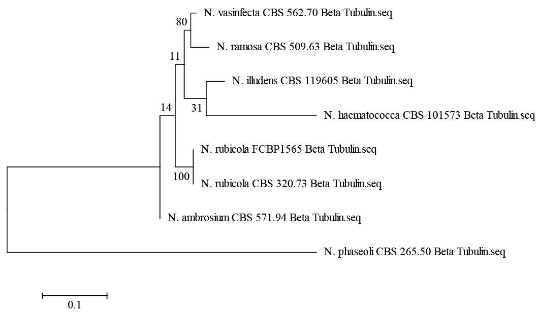 3.2