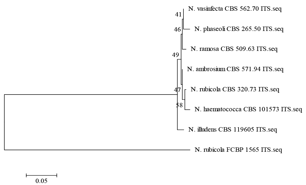 Figure 3: