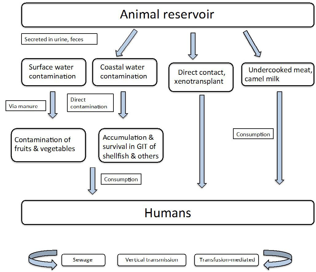 Figure 2: