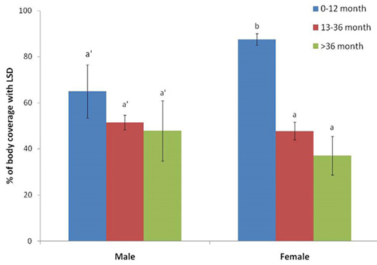 Figure 3: