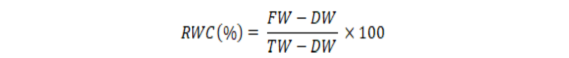Eq1.PNG