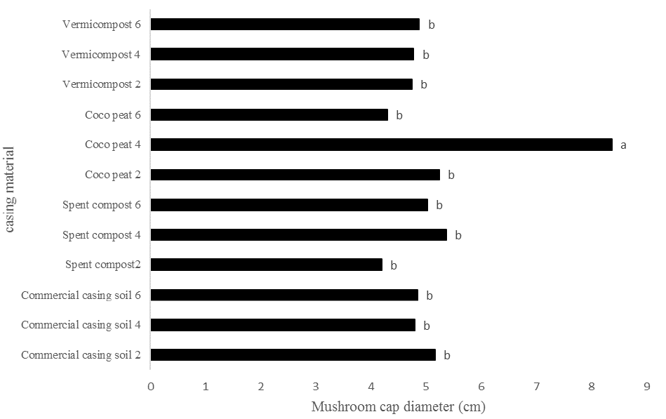 Figure 4:
