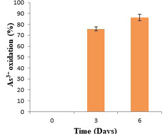 Fig. 6.