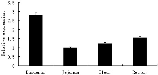 Fig. 4.