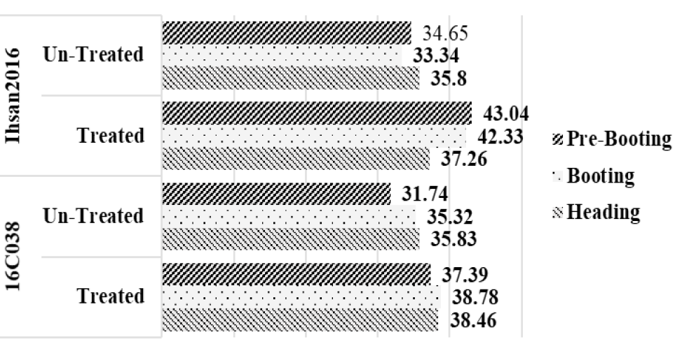 Figure 3: