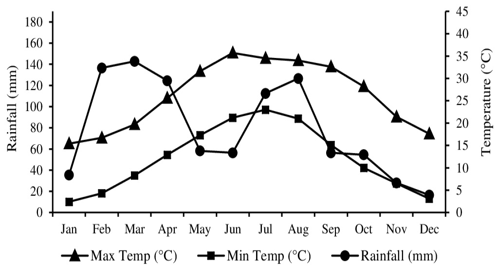 Figure 3: