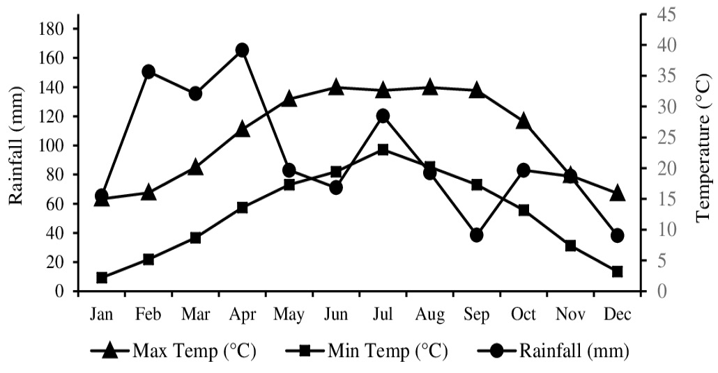 Figure 1: