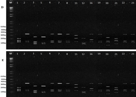 Figure 2: