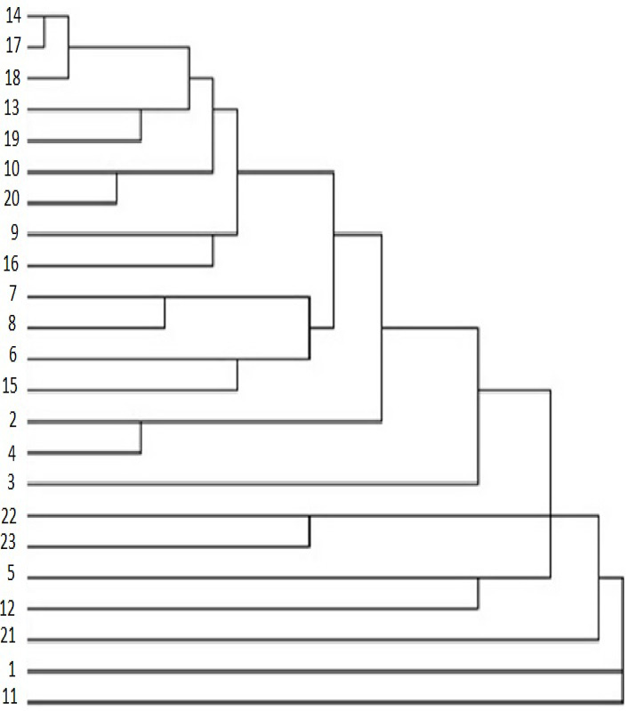 Figure 1: