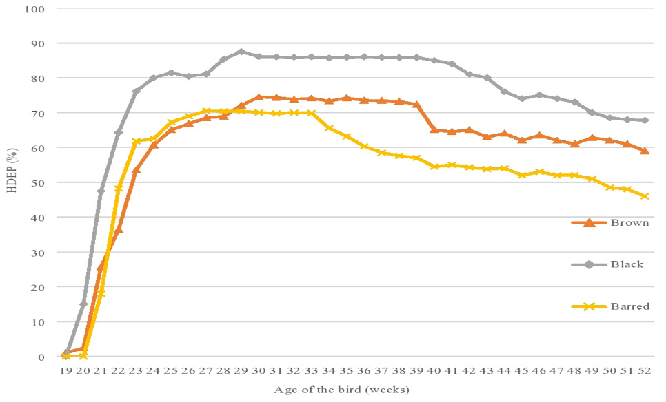 Figure 2: