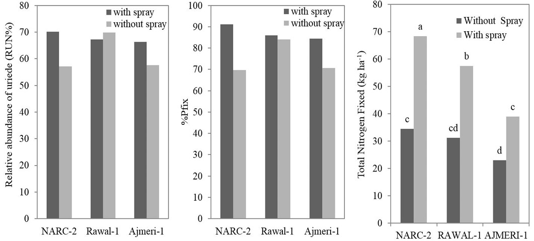 Figure 2: