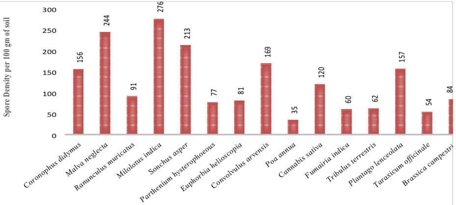 Figure 1: