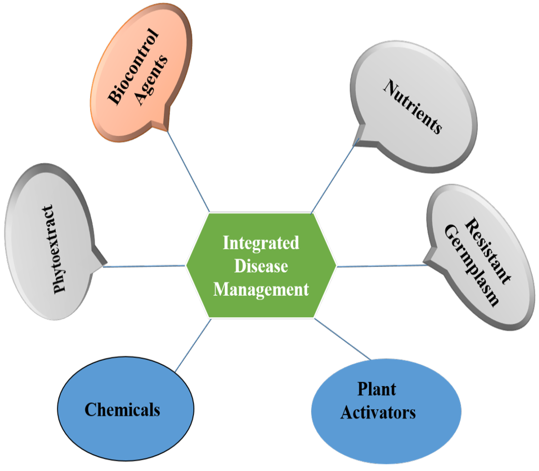 Figure 1: