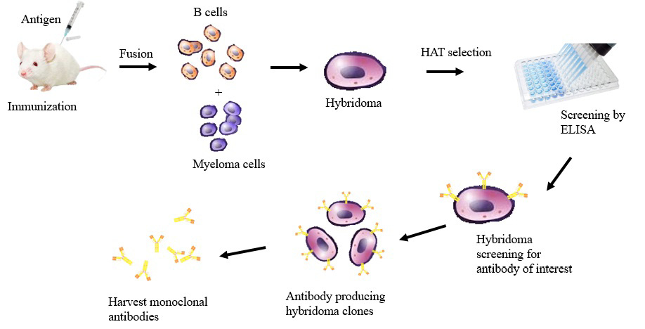 Figure 2: