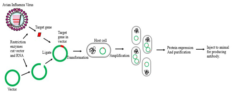 Figure 3: