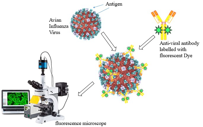 Figure 4: