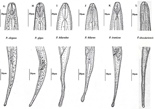 Figure 2: