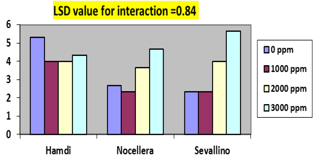 Figure 5: