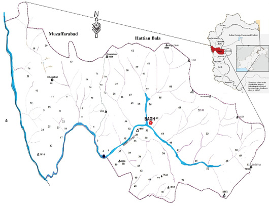 Figure 1: