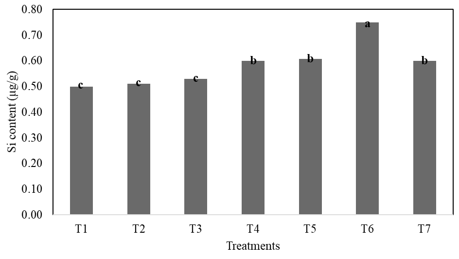 Figure 4: