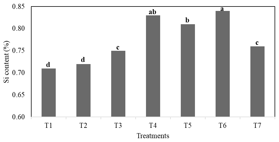 Figure 6: